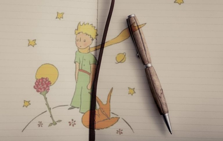 ¿Qué haría El Principito en 2020 si volviera a la tierra?