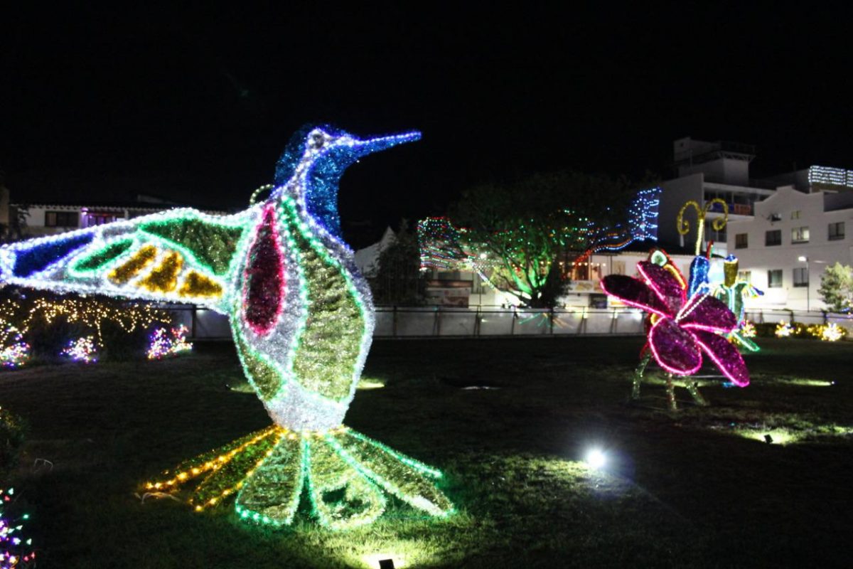 Alumbrado navideño en Rionegro