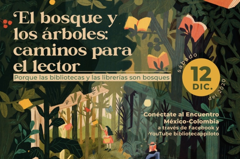 Biblioteca Pública Piloto