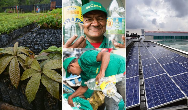 Desarrollo sostenible: la única alternativa posible