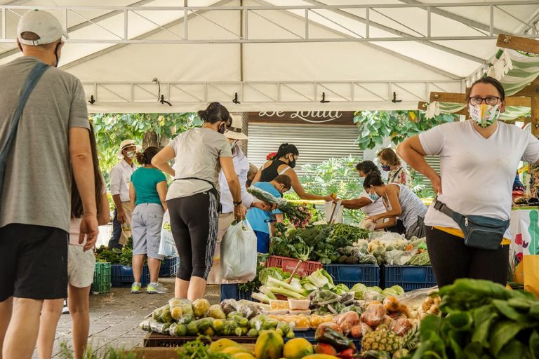 A partir de este miércoles en El Poblado visite los Mercados Campesinos