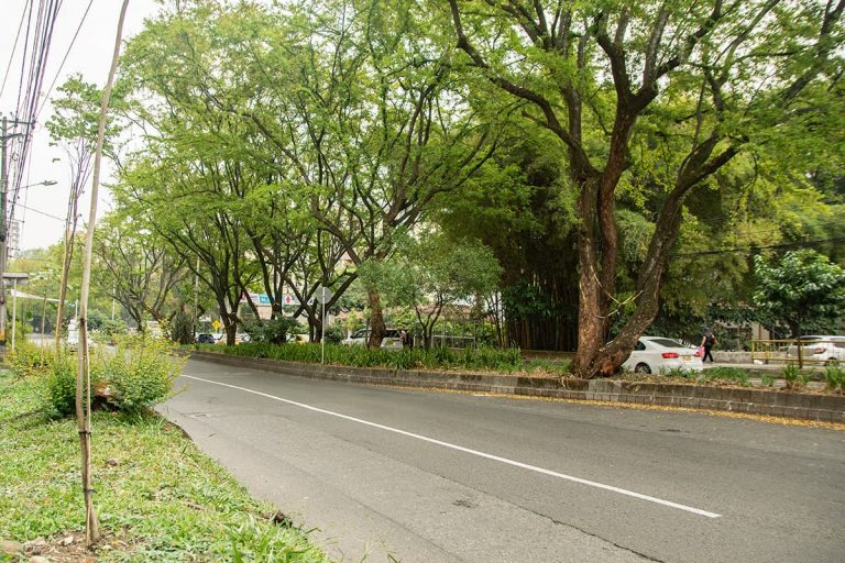 Consejo de Estado admite tutela a favor del Túnel Verde de Envigado