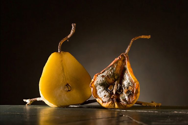 Antinomias, exposición de Carlos Tobón en el Museo de la Universidad CES