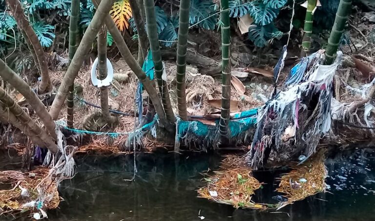 ¿De dónde sale tanta basura en la zona rosa de El Poblado?