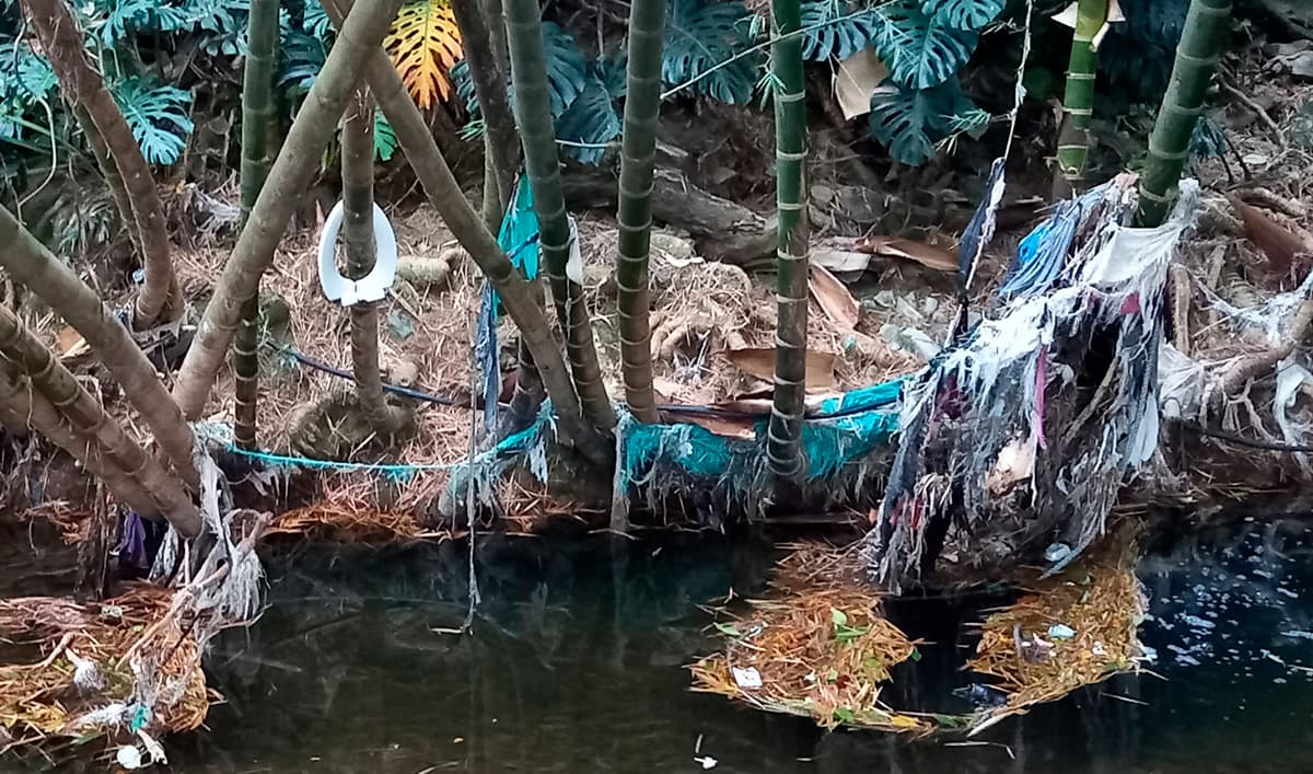 ¿De dónde sale tanta basura en la zona rosa de El Poblado?