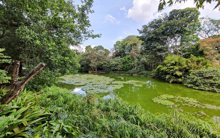 Crisis en el Jardín Botánico: causas, inversión y proyecciones