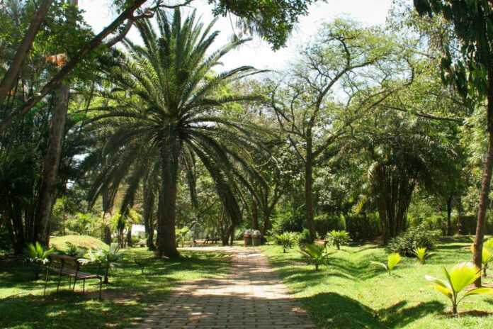 Respaldo al Jardín Botánico: “Esta zona de Medellín es un lugar de encuentro”
