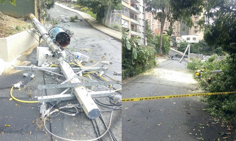 La caída de un árbol afectó tres postes en Castropol