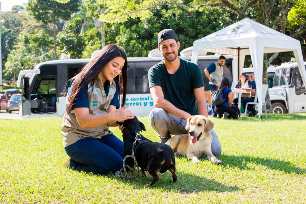 jornada de adopción de perros y gatos en Medellín