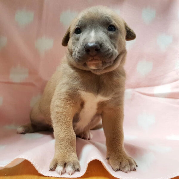 Esmeralda-hija-de-Susy