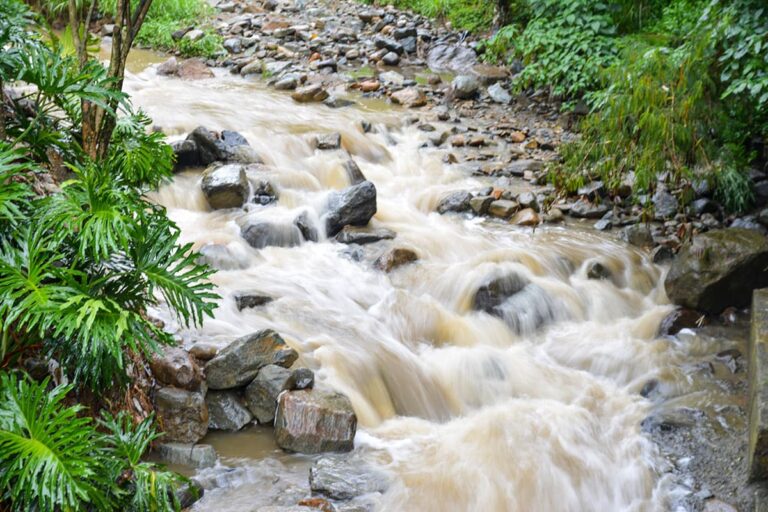 Fenómeno de La Niña trae temporada de intensas lluvias en Antioquia