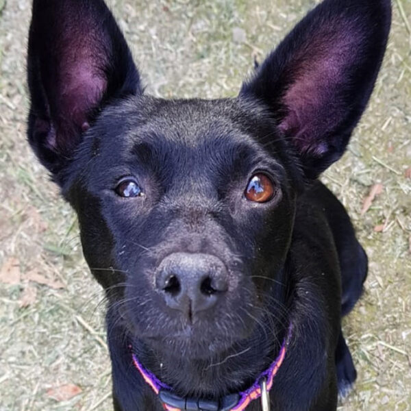 Frida