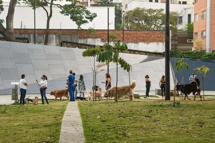 Las mascotas han ido ocupando un lugar esencial en los hogares colombianos