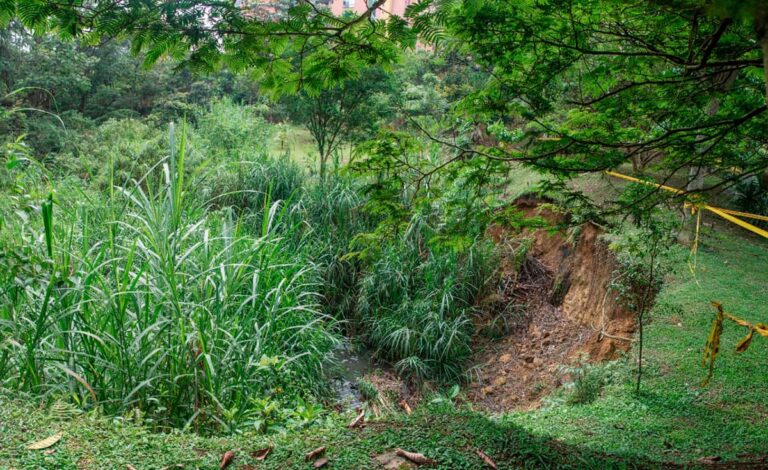 Quebrada La Paulita, en el Parque Ambiental La Frontera, entre vertimientos y deslizamientos