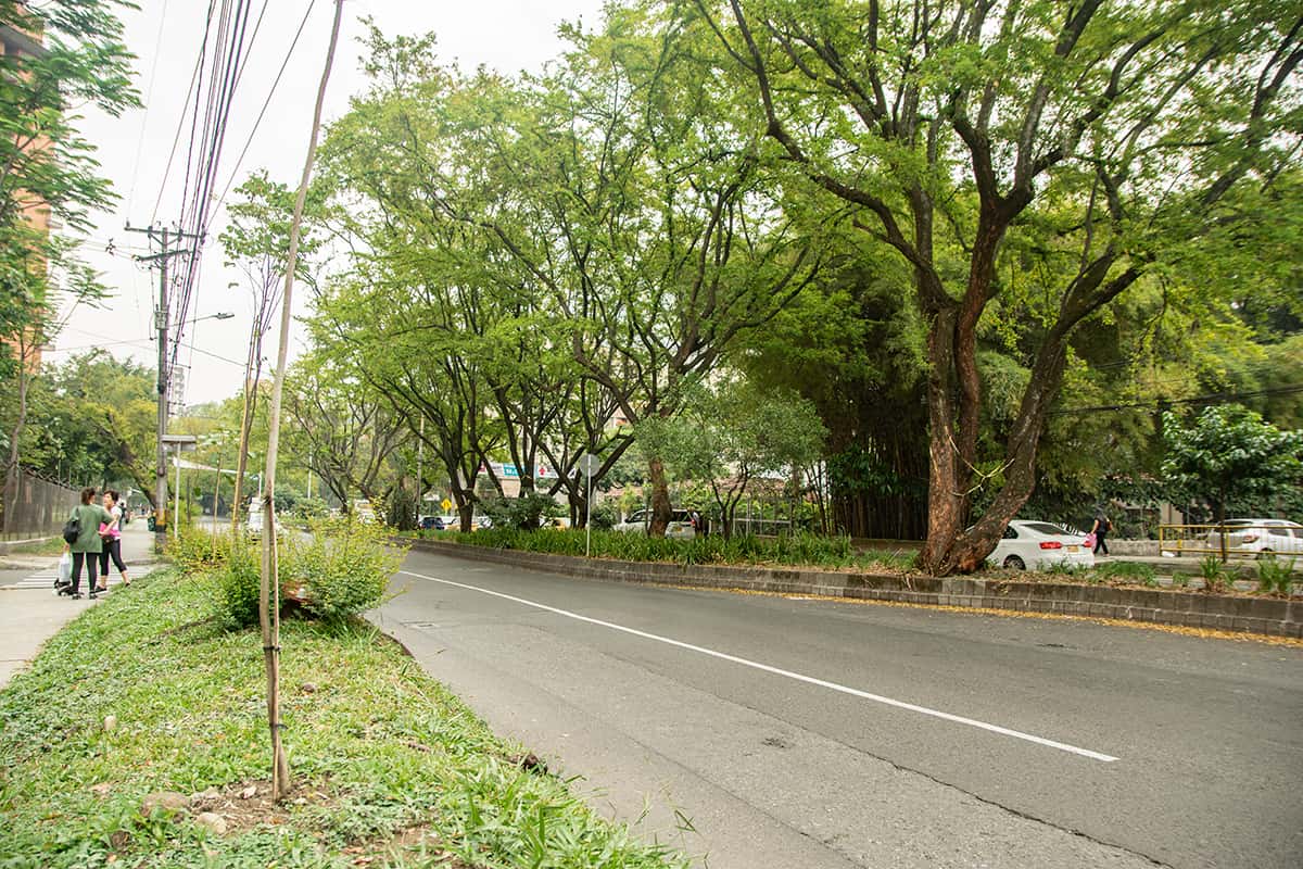 personas que apoyan las obras de Metroplús en el Túnel Verde