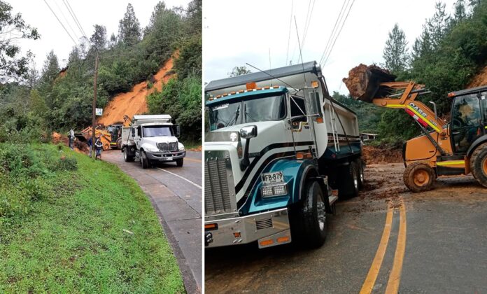 Cerrada vía Las Palmas por caída de árboles y derrumbe en sectores Carrizales y Sancho Paisa