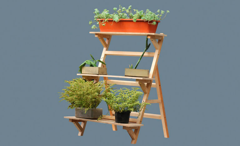 Construye tu huerto casero con Explora