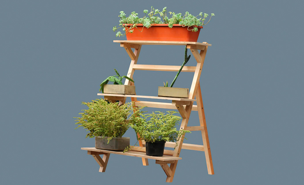 Construye tu huerto casero con Explora