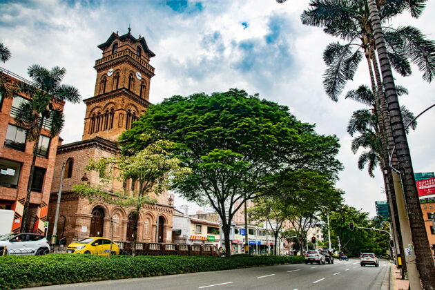 El Poblado es la comuna en Medellín con mayor número de árboles patrimoniales
