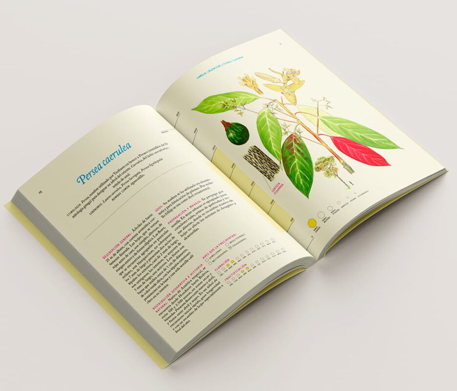 Presentación del libro Plantas Neotropicales que atraen aves.