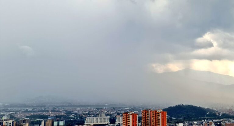5 desplomes de árboles y 2 deterioros estructurales, balance de las fuertes lluvias de la tarde del 26 de abril