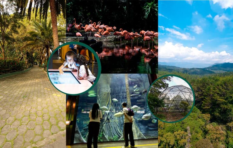 El turismo de la ciudad en una tarjeta: Medellín City Card