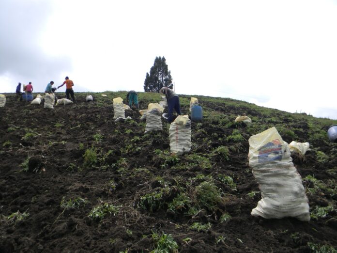 En Antioquia no está en peligro el abastecimiento de alimentos