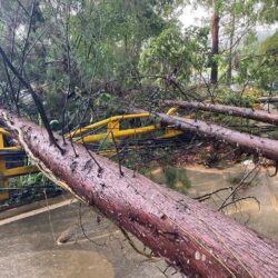 Inundaciones e incidentes en El Poblado tras fuerte aguacero