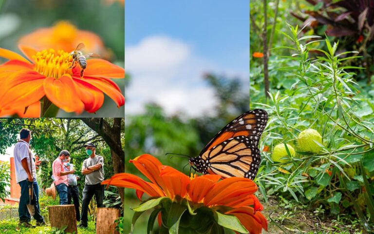 Parque Las Mariposas en la Loma del Esmeraldal en Envigado