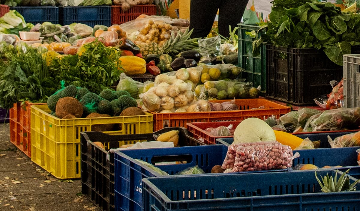 Regresa el Mercatodos al parque principal de Envigado