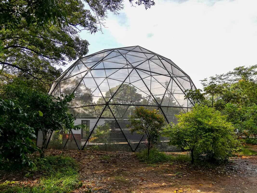 Un recorrido para apoyar al Jardín Botánico