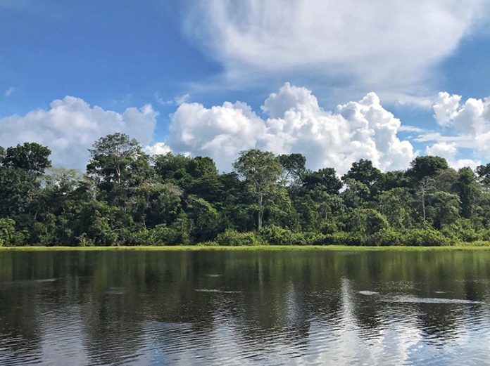 Una expedición al Amazonas para maestros y maestras