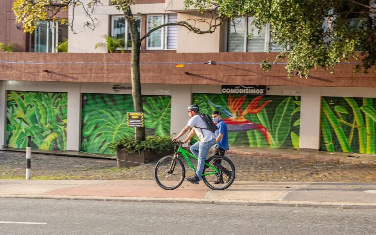 Celebrar a la bicicleta como sistema de transporte sostenible
