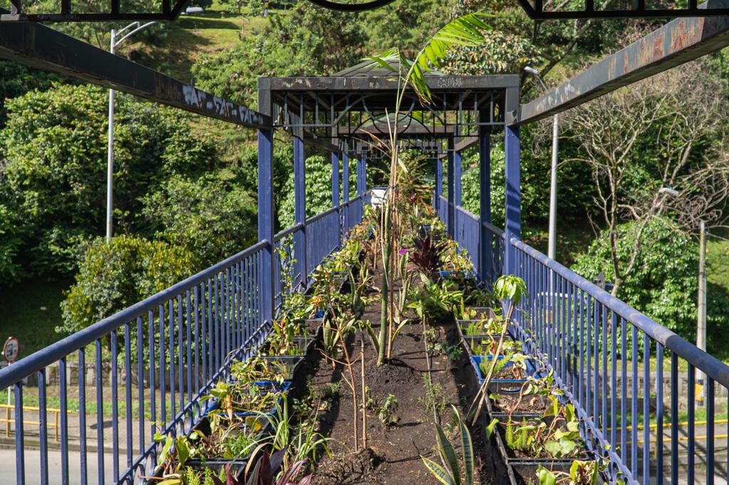 Con pasos ecológicos se protege a la fauna silvestre en Medellín
