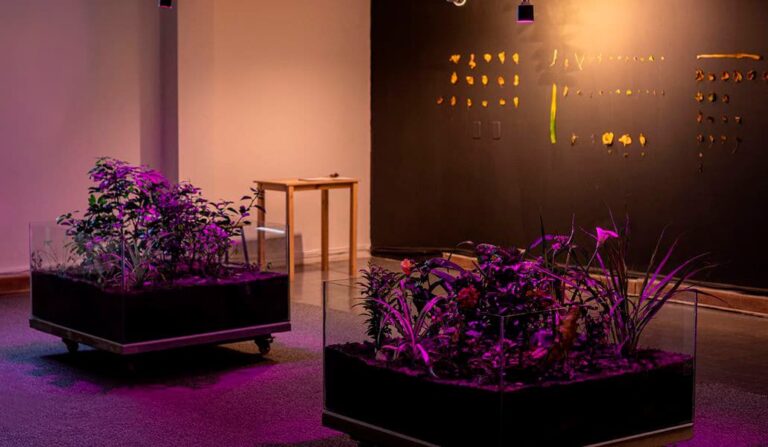 El 45º Salón Nacional de Artistas habla sobre paisaje