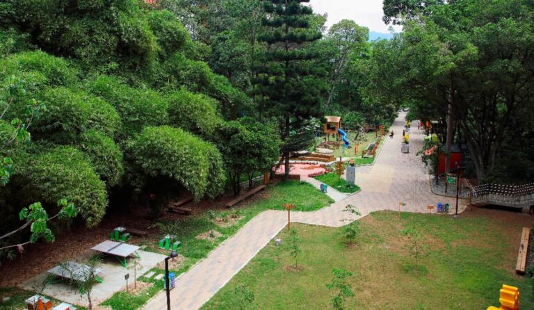 El Canal Parque de Telemedellín reabre sus puertas a la ciudad