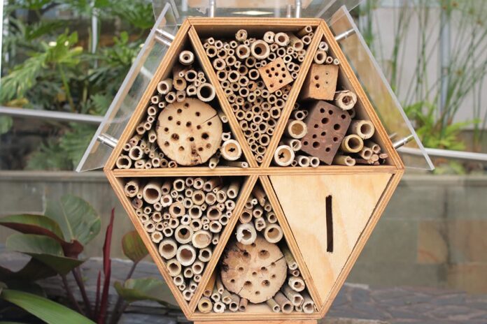Refugio de abejas en Medellín en la sede del Área Metropolitana