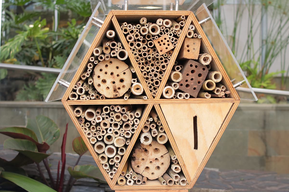 Refugio de abejas en Medellín en la sede del Área Metropolitana