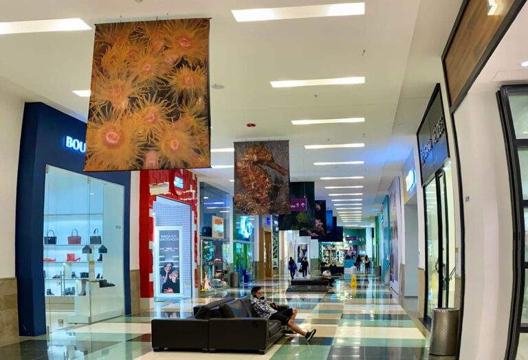 Exposición fotográfica Tesoros del mar