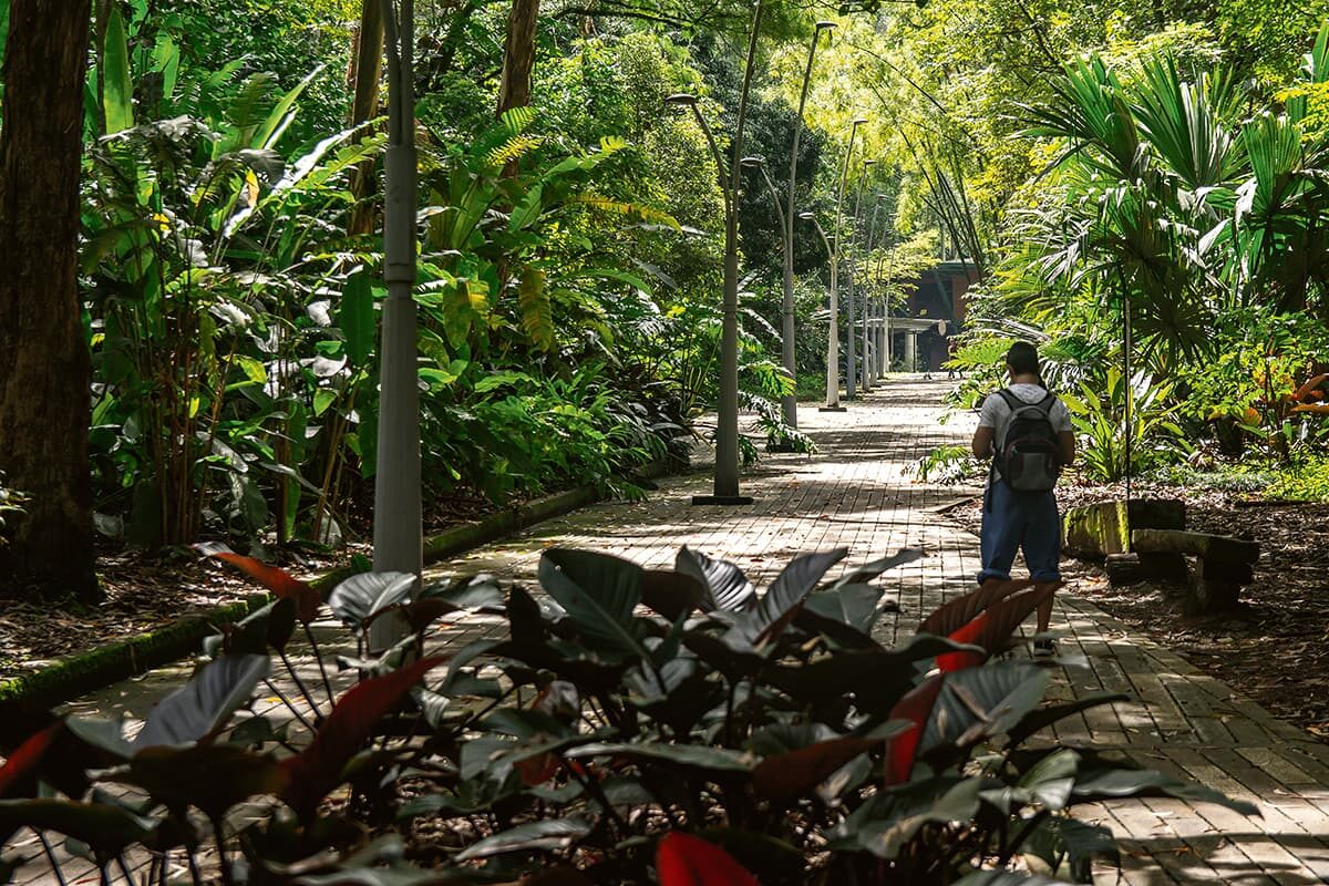 Alcaldía de Medellín entregará segunda etapa del parque ambiental Bosques de La Frontera