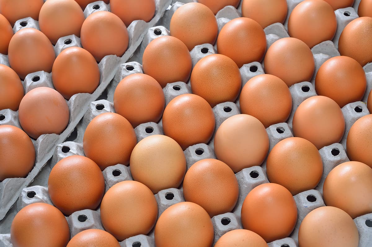 Aumento de precios en huevo y pollo en Antioquia