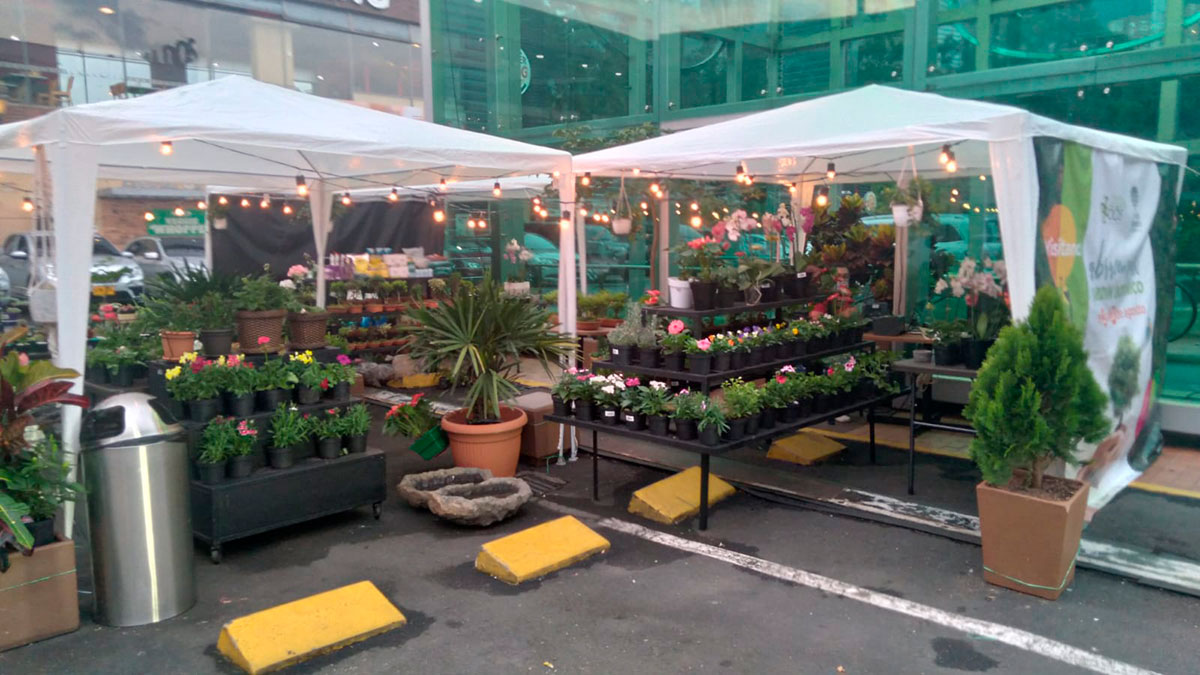 El Jardín Botánico llega a El Poblado, al Mall Zona 2