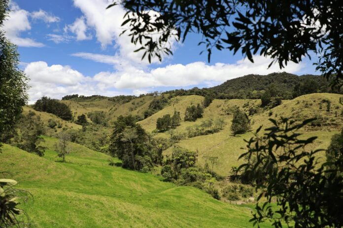 Los Tambos, nuevo parque ambiental en el Oriente antioqueño en la Ceja