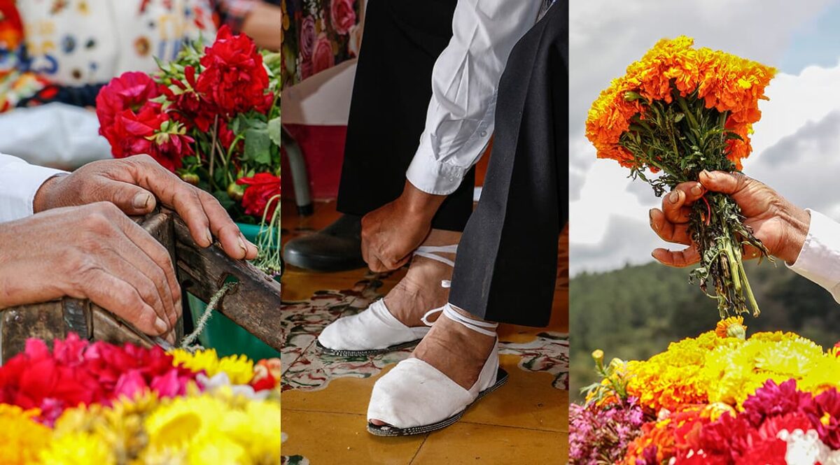 Programación oficial de Feria de las Flores 2021