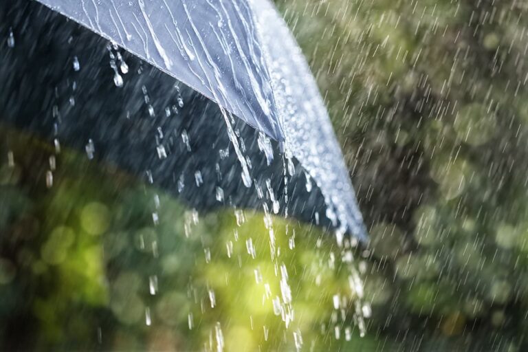 A propósito del la crisis del clima, Lunes de Ciudad:  “Aguas arriba, aguas abajo”