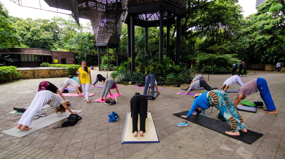 Un spa para cuidar la salud mental en Medellín