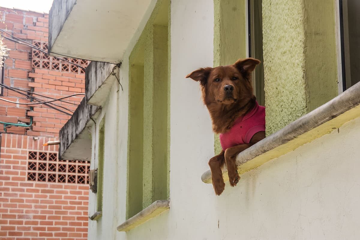 El Chispero barrio de El poblado