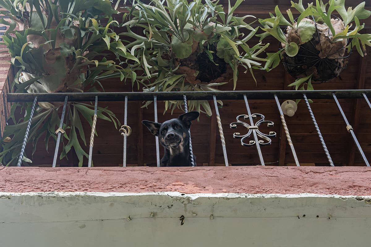El Chispero barrio de El poblado