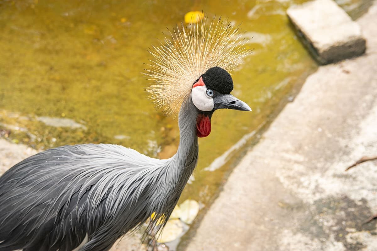 El parque de la Conservación: nuevo nombre, nueva ruta