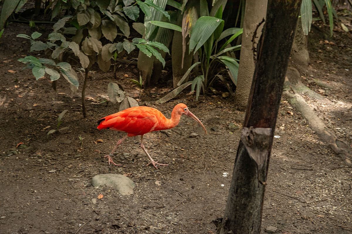 El parque de la Conservación: nuevo nombre, nueva ruta
